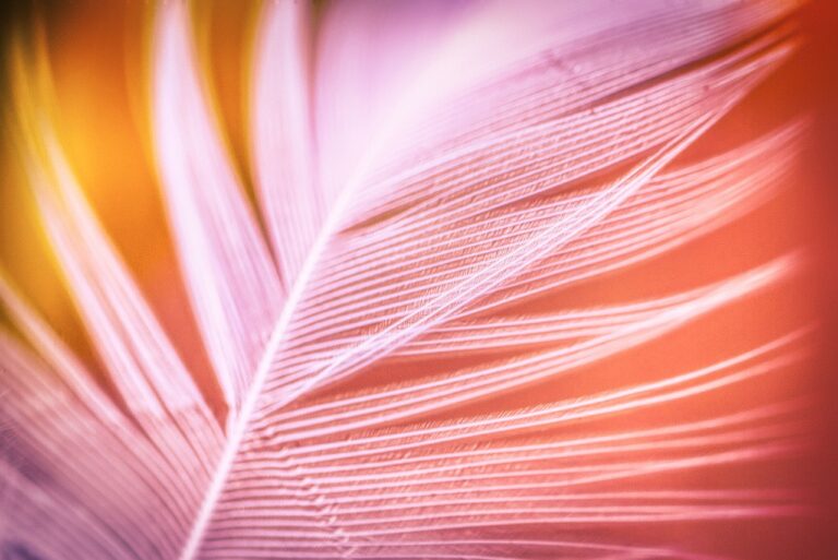 Spermiogramm Interpretation leicht erklärt für mehr Kinderwunsch-Erfolg Mann liest Spermiogramm Ergebnisse zur Interpretation bei Kinderwunsch Behandlung